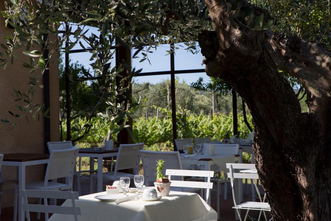 La Cipriana Villa Castagneto Carducci Luaran gambar