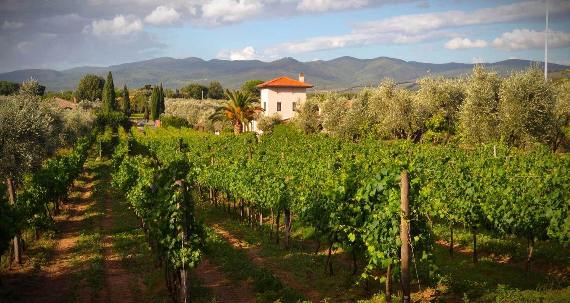 La Cipriana Villa Castagneto Carducci Luaran gambar