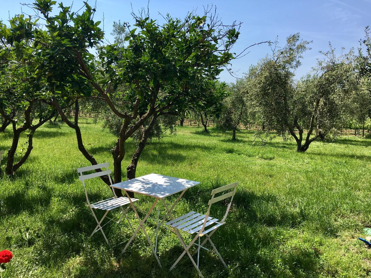 La Cipriana Villa Castagneto Carducci Luaran gambar