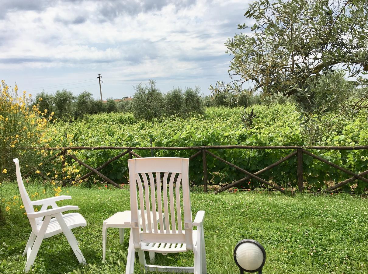 La Cipriana Villa Castagneto Carducci Luaran gambar